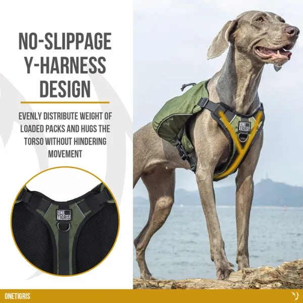 ONETIGRIS CAMELUS Dog Pack