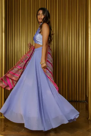 VANILLA Metallic Lehenga Skirt